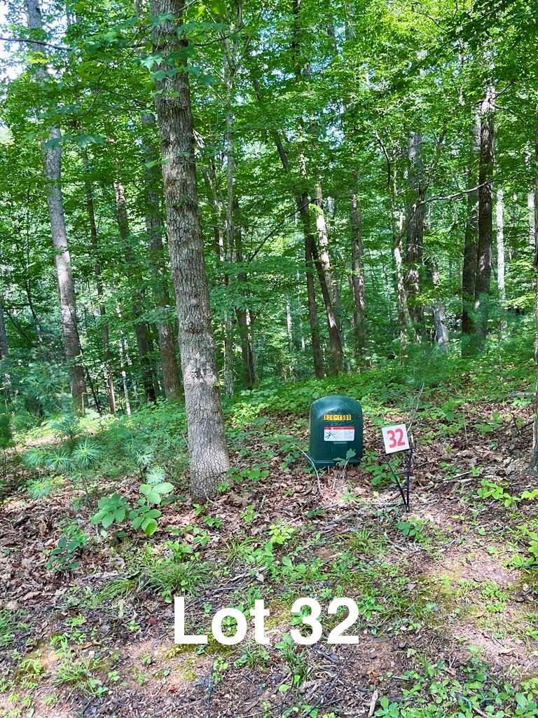 Dream Log Cabin Site at The Reserve of Fairystone! Nestled next to Fairystone State Park and minutes to Philpott Lake, this 3-bedroom homesite offers the perfect blend of serenity and convenience. Utilities are a breeze with underground power and water already available. Enjoy premium community perks, including secure storage for boats and campers—with a key fee for owners. Just minutes from the Blue Ridge Parkway, Gordon Trent Golf Course, and Chateau Morrisette Winery. Whether you're building a private retreat or a vacation rental, this lot is a premier investment in nature.