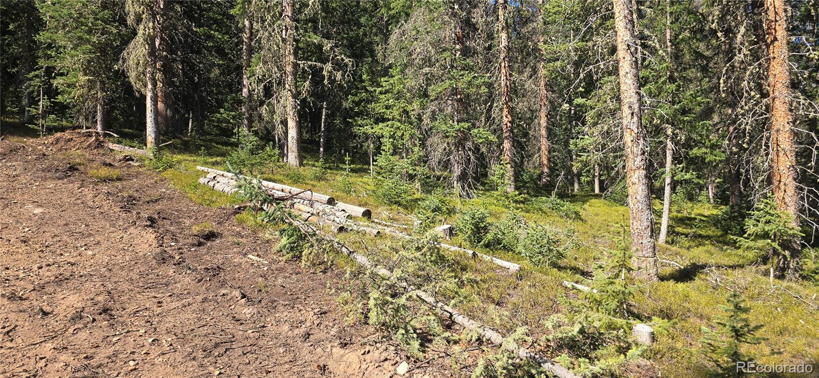 Lot 6515 Doyle Road