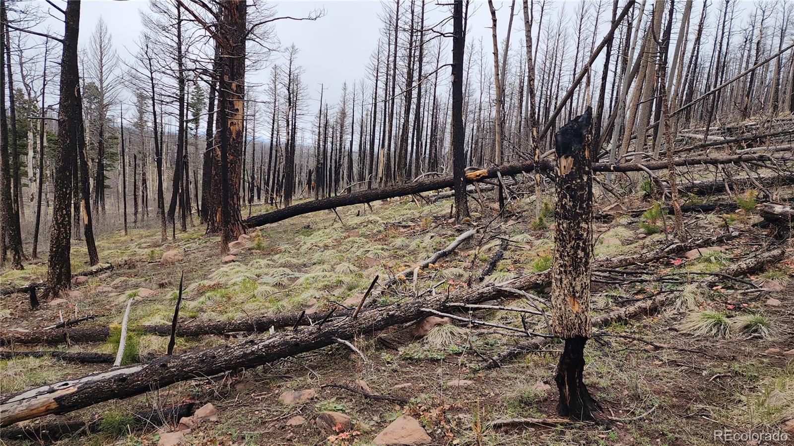 Lot 1735 Mara Loop