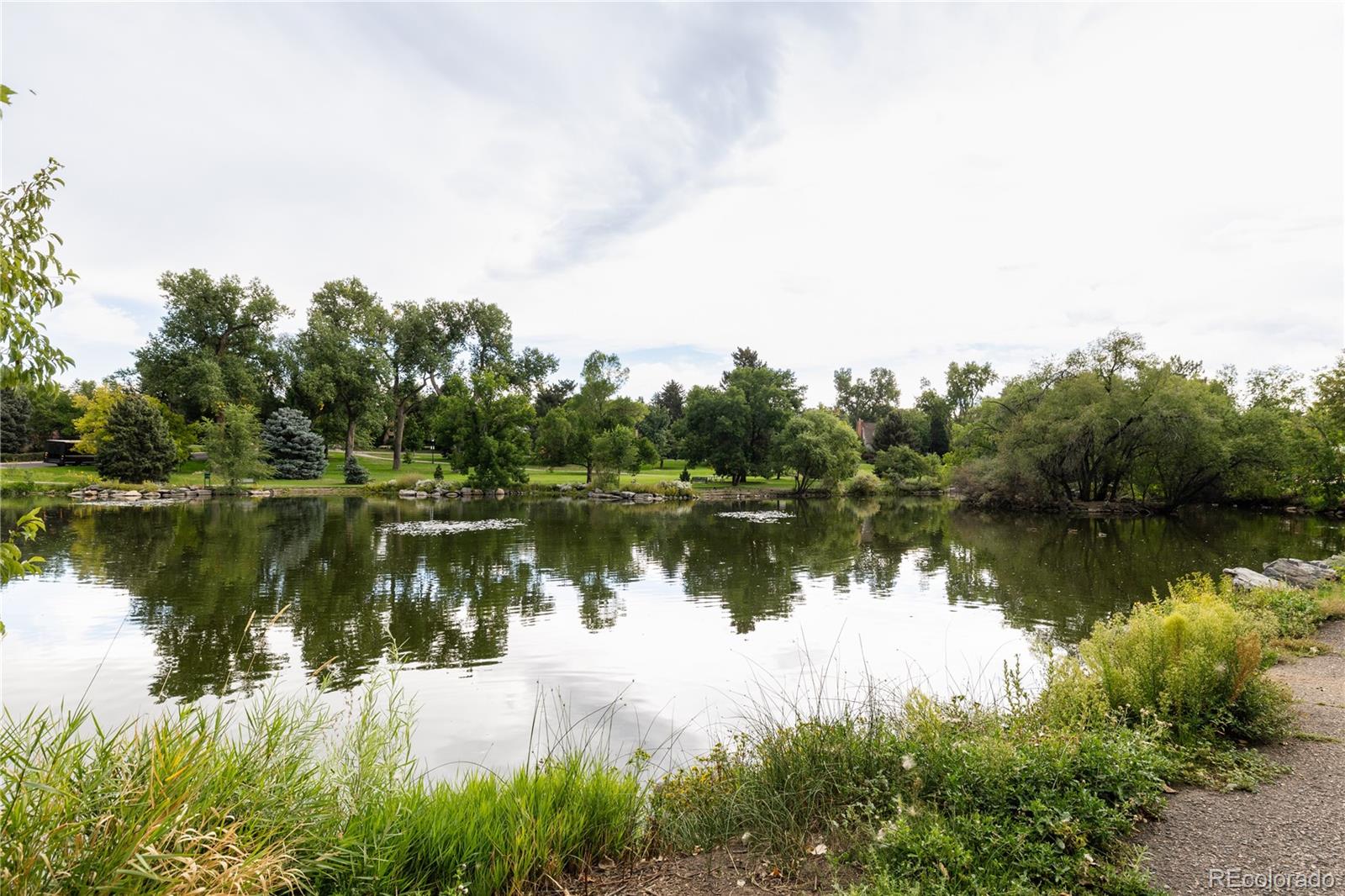 5916 S Sycamore Street