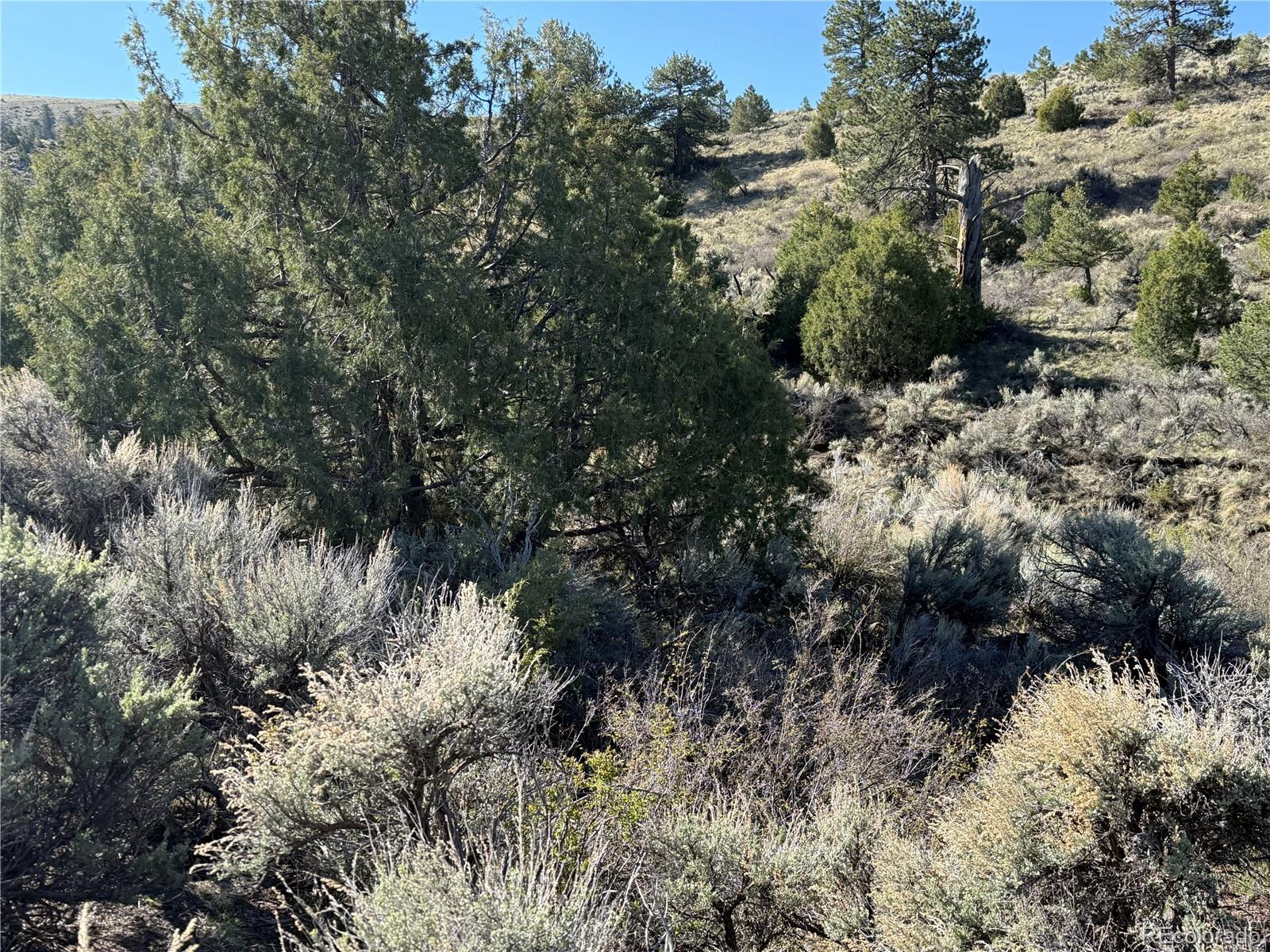 Lot 4918 Jaffe Road