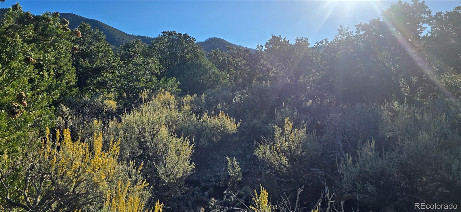 Lot 1361 Dunn Road