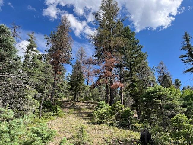 Lot 5757 Balleroy Road
