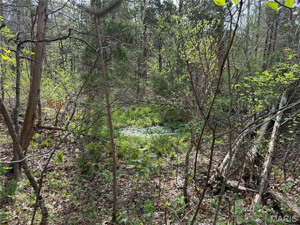 3 Furnace Creek Road