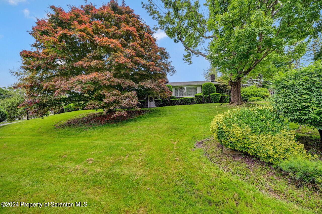 522 Tulip Circle