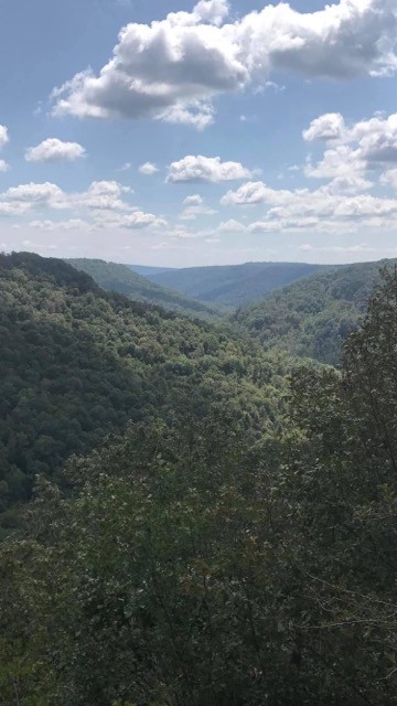 Beautiful BLUFF views.  +/_6.17 acres. Gate at entrance. Build your dream home in this quiet paradise! More pictures to come