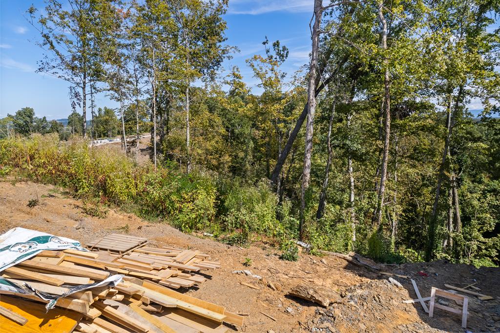 Lot 45 Reedmont Way