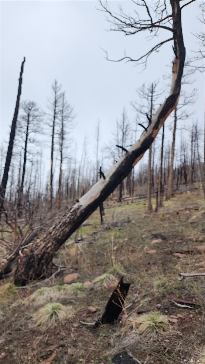 Lot 1735 Mara Loop