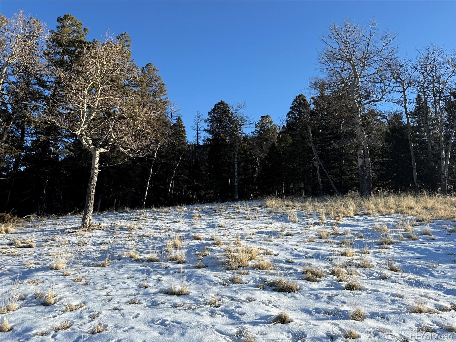 Lot 499 Collinson Drive