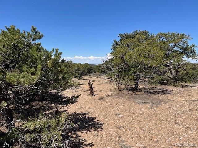 Lot 3306 Fontaine