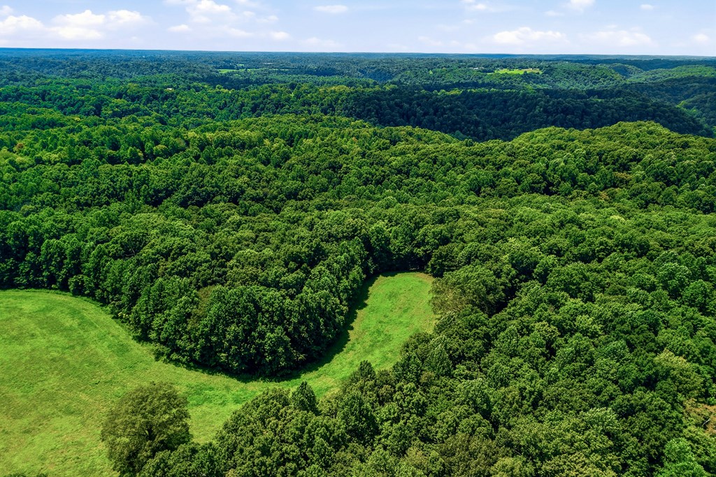 220+/-AC Hensley Cemetery Ln