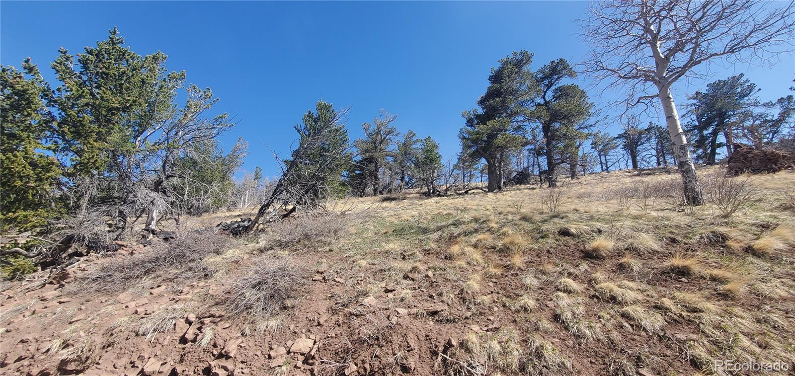 Lot 2740 Newman Place