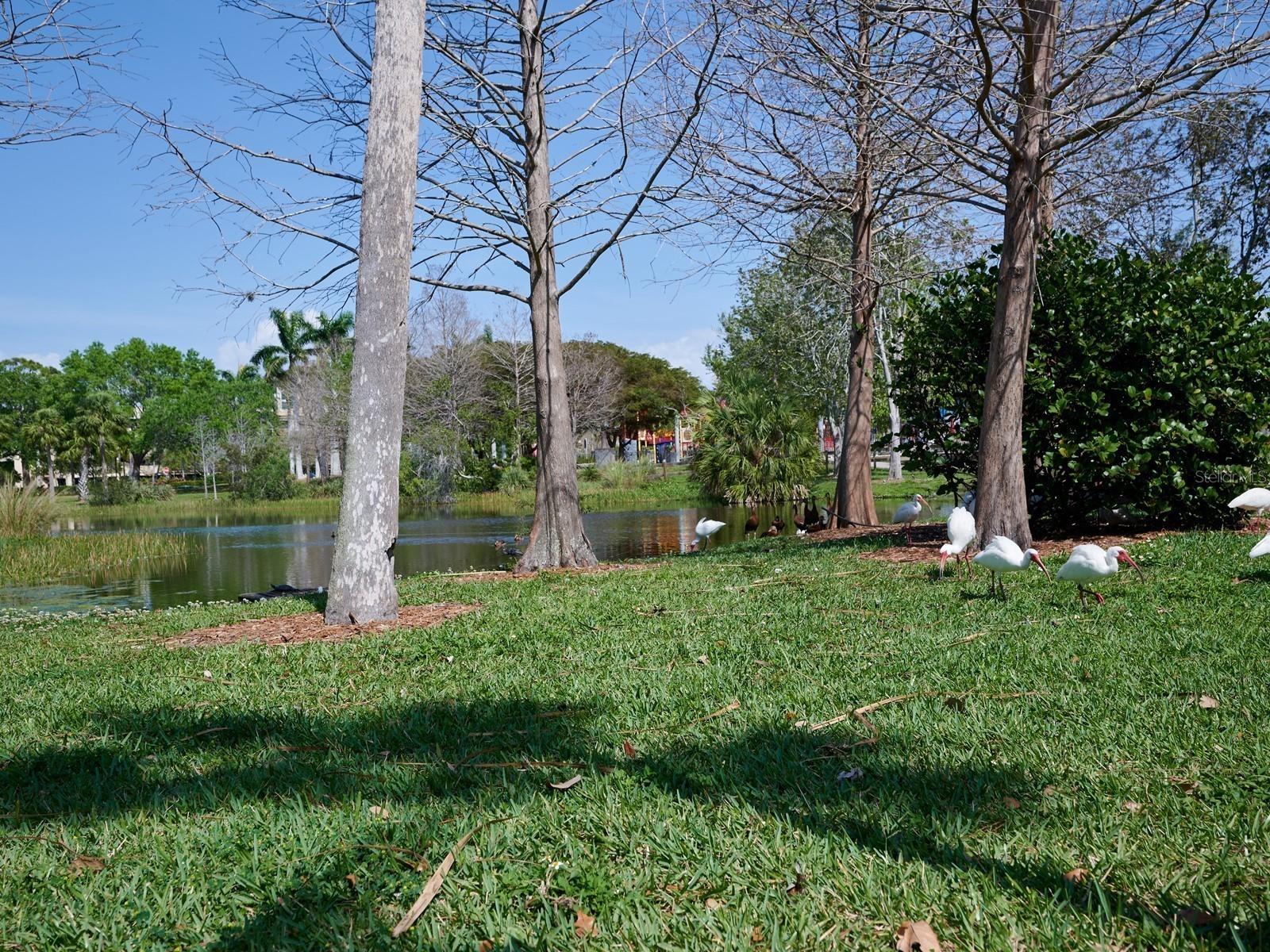 516 Laurel Park Drive