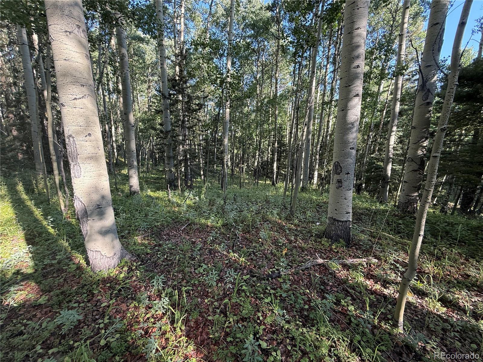 Lot 5331 Hull Road