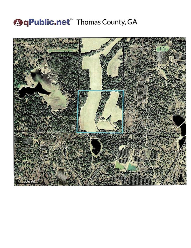 Excellent recreational tract and hunting paradise located between two plantations South of Thomasville and convenient to Tallahassee.  26 acres is farmed annually.  Easement access only.  10 year Conservation Tax credit.