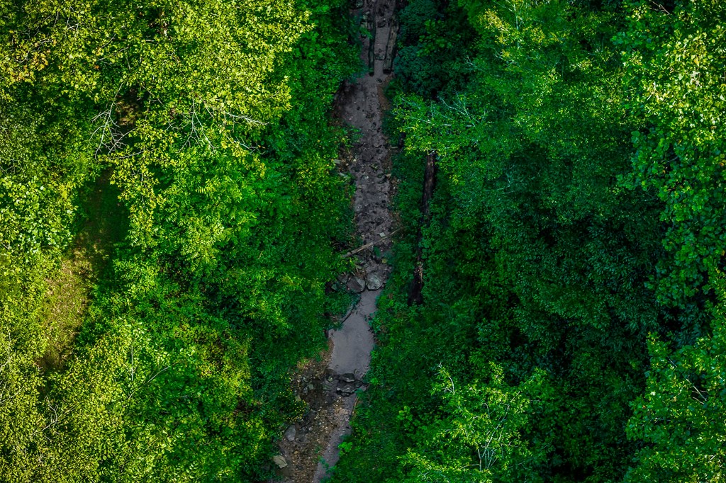 392 Possum Hollow Rd