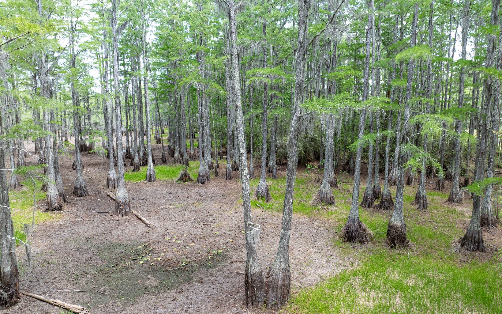 1285 SE Koon Lake Rd