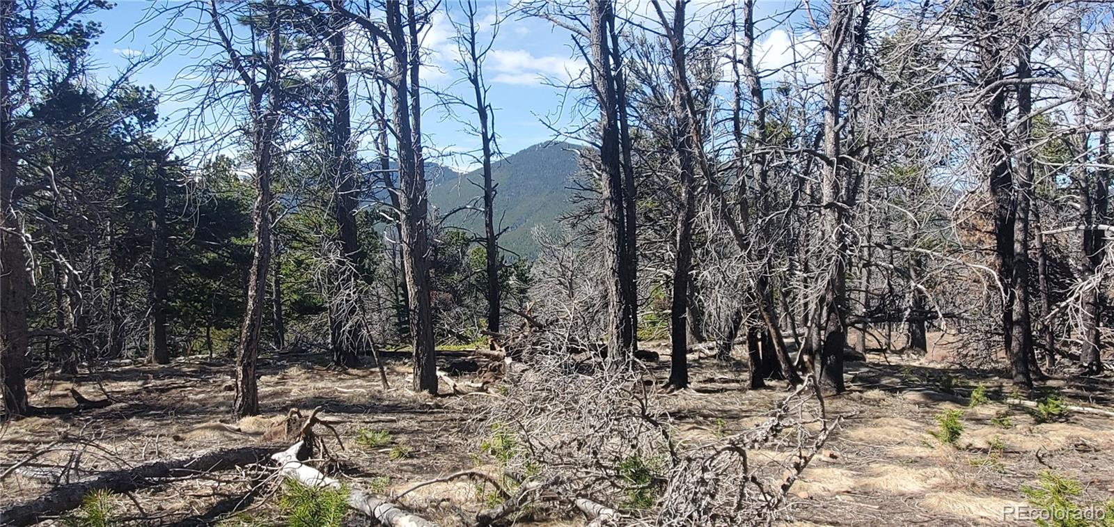 Lot 2739 Newman Place