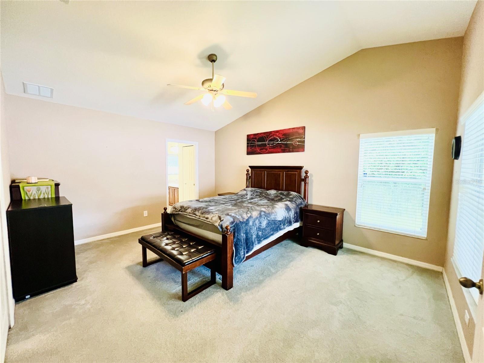 2859 Stags Leap Drive