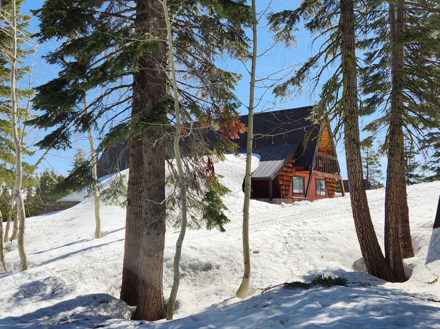 735 Bloods Ridge Road