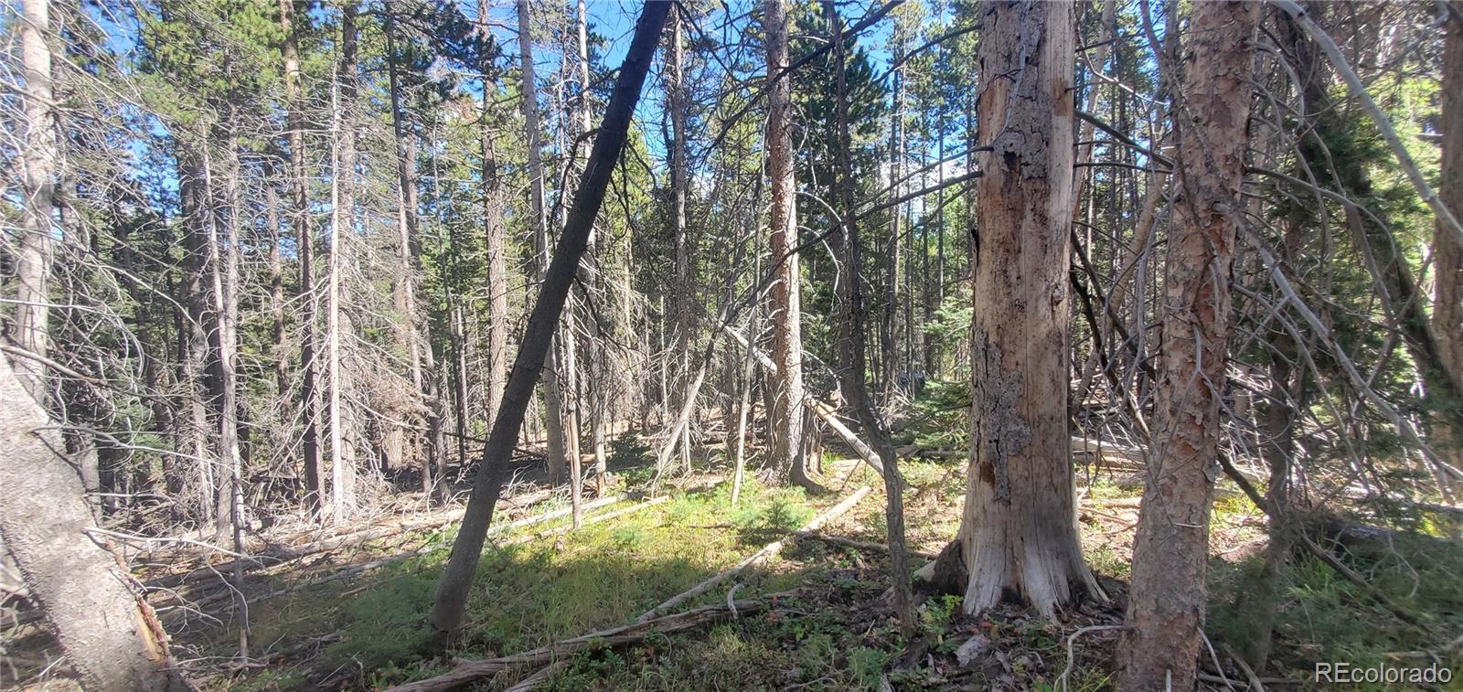 Lot 3427 Grojean Drive