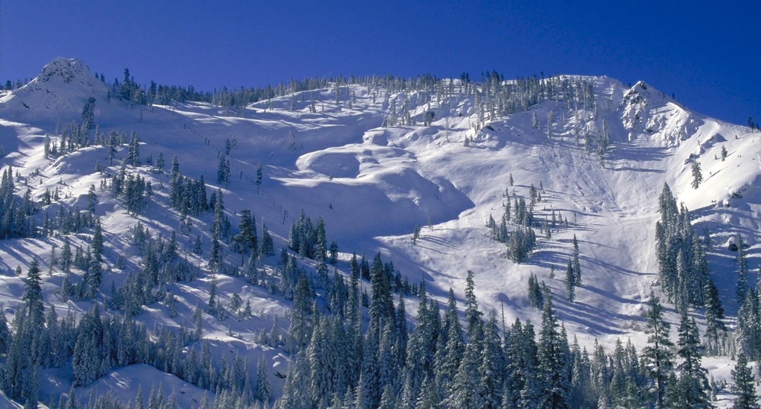 300 Bear Valley Rd. #7