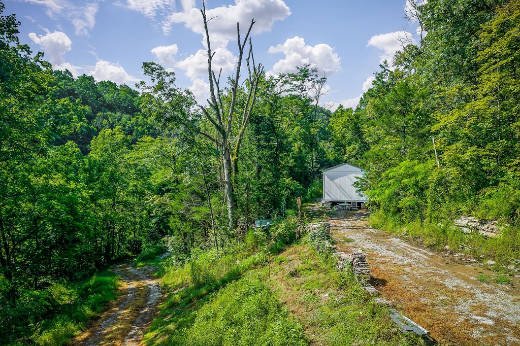 392 Possum Hollow Rd