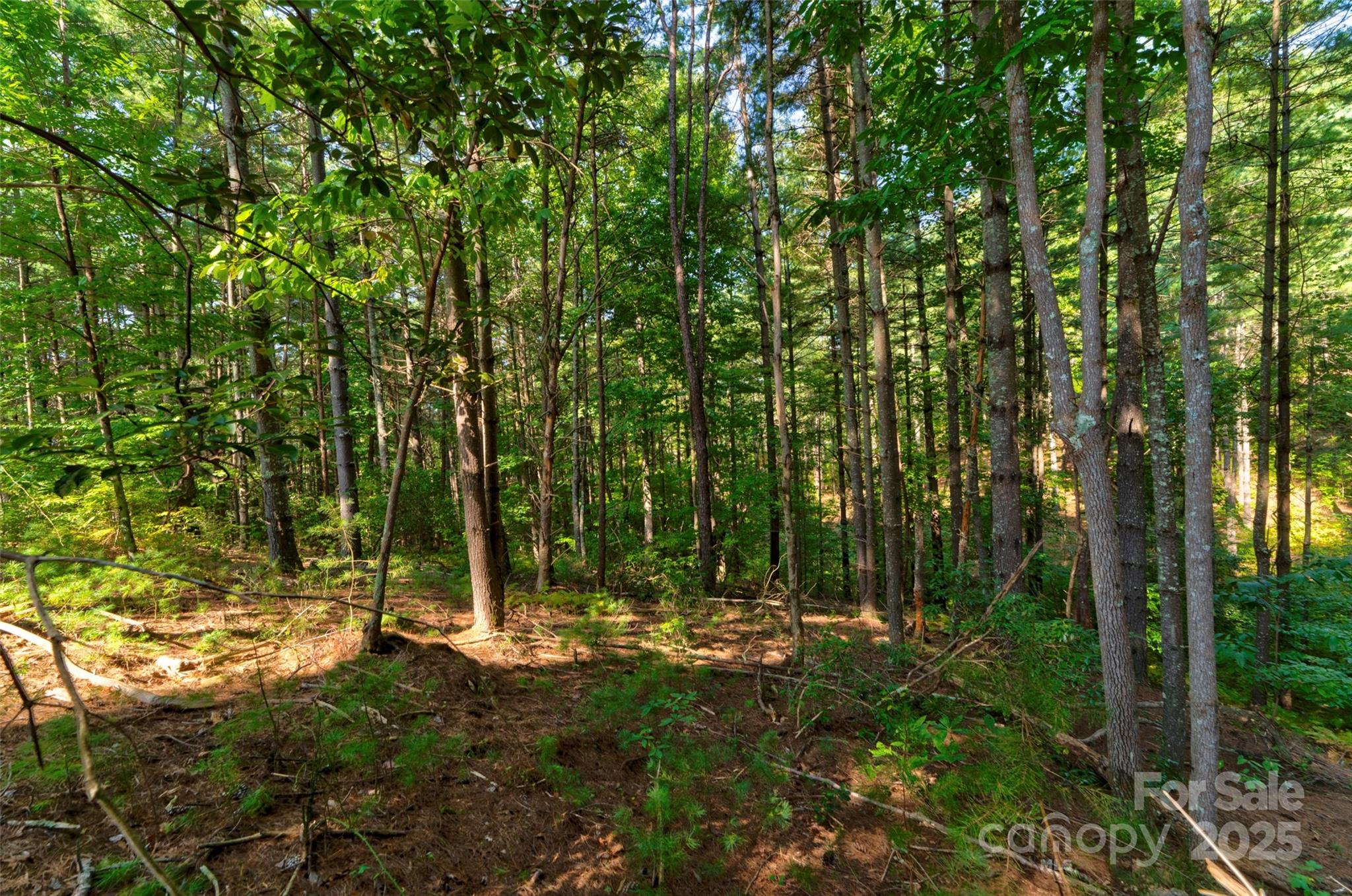 77 Whispering Pines Trail 82