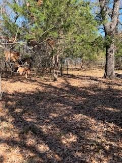 Lot 15,16 Loper Drive