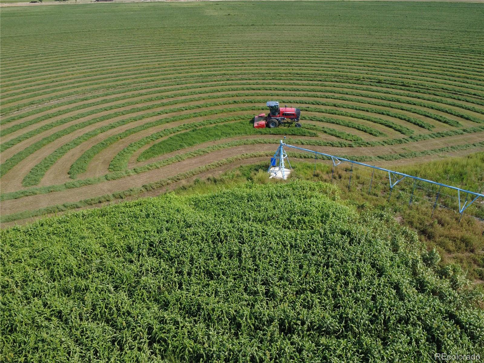 The Jerry Bay Farm offers the opportunity to invest in a farm property that offers crop production and grazing opportunities. The Jerry Bay Farm is well suited to producing alfalfa, silage sorghum, forage sorghum, and other crops. Crops that have been produced in the past include Alfalfa, Corn, Sorghum, Triticale, and Cantaloupes. A new 2003, 7 tower Reinke sprinkler system has been installed. The sprinkler will cover approximately 126.04 acres of the farm. The farm has 145.5 shares of irrigation water through the Holbrook Canal. There is also hunting opportunities with a population of Mule Deer that frequent the property.