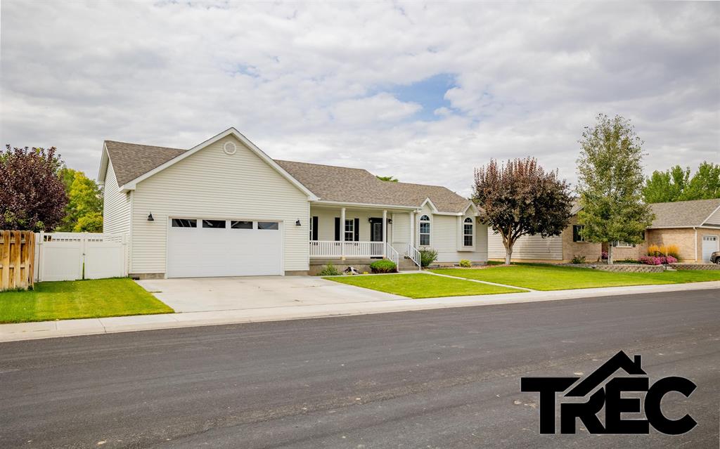 642 Cedarwood