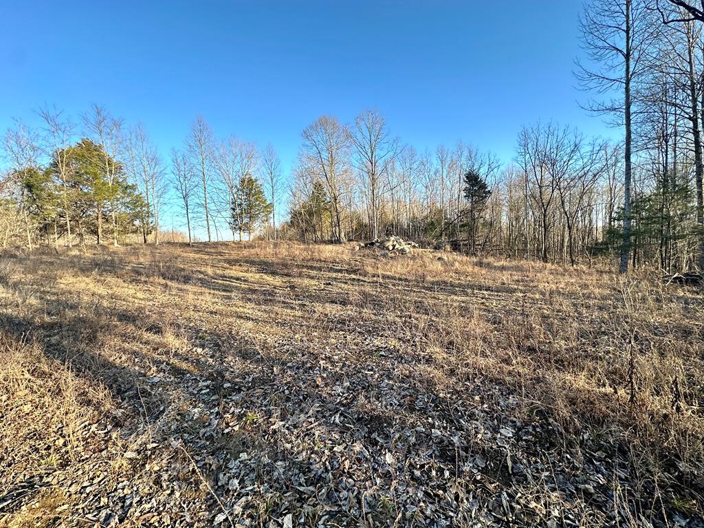 97.88 AC Hensley Cemetery Ln
