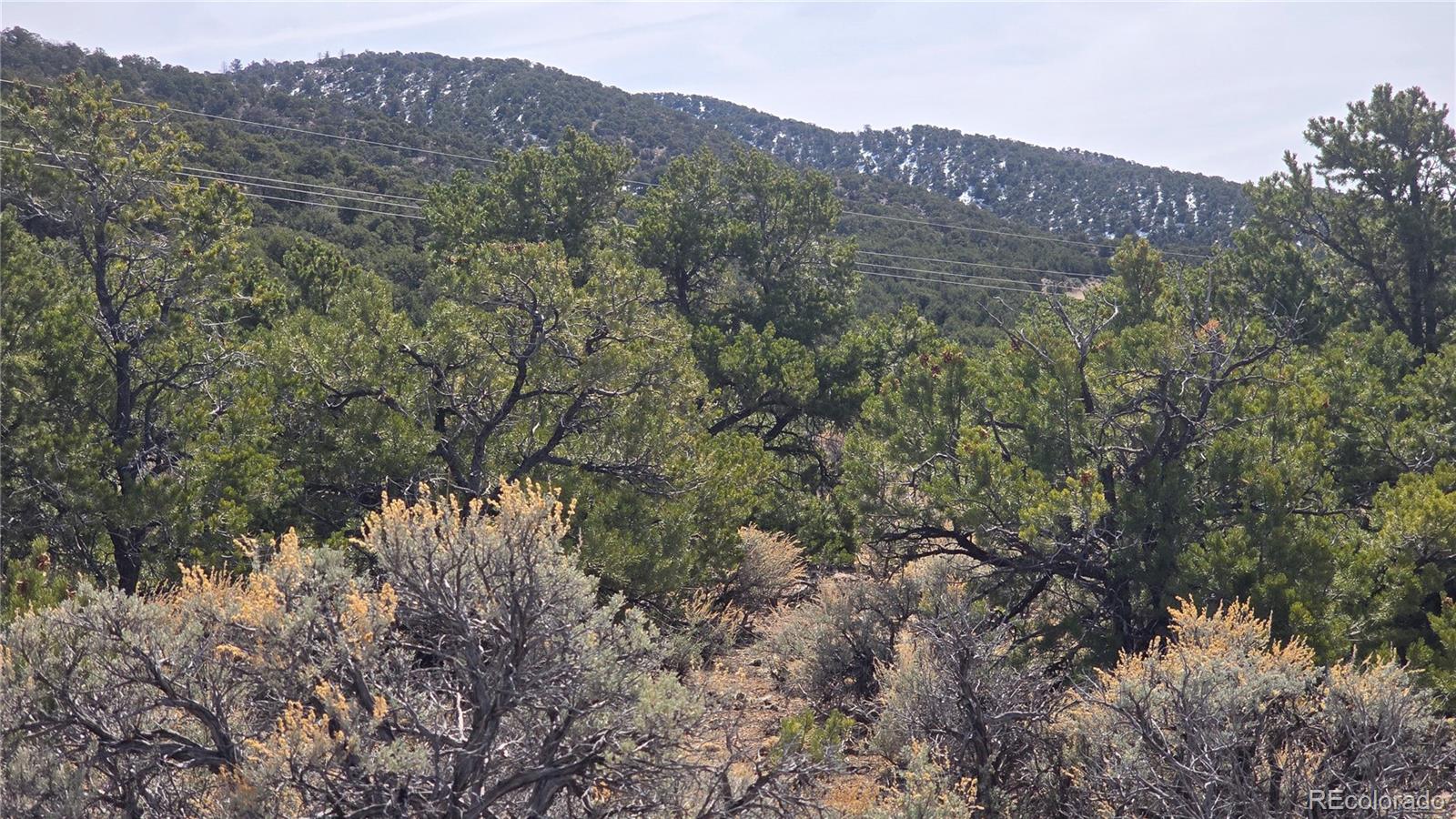 Lot 1248 Juarez Road