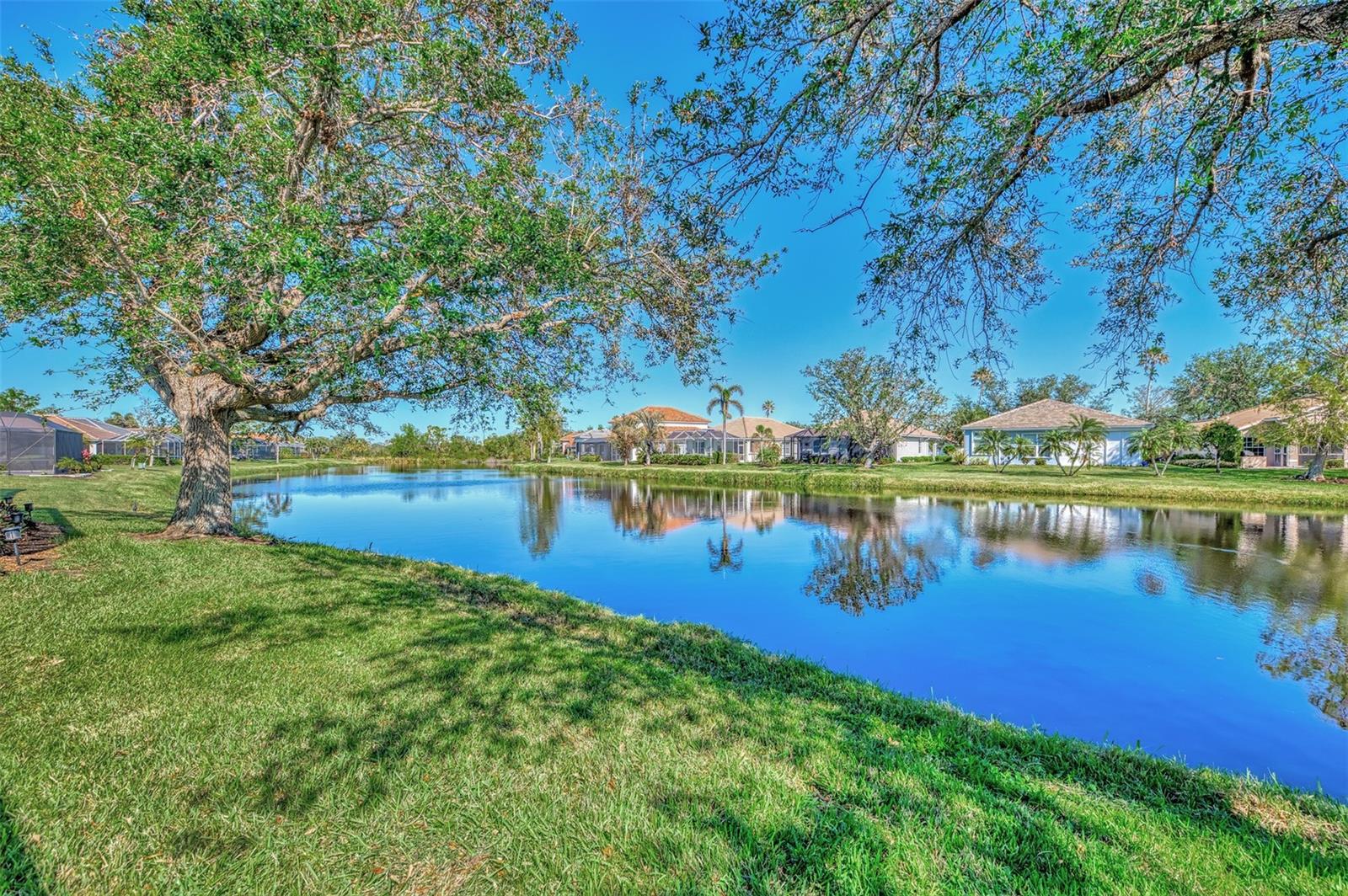 3179 Osprey Lane