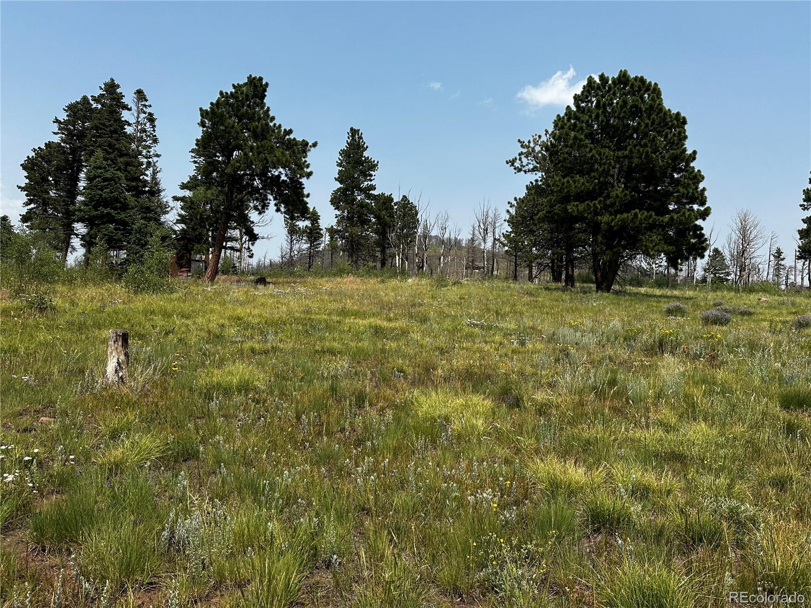 1718 Mara Loop