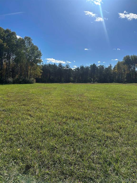 50 plus acres of beautiful woods with trails throughout...4 hunting blinds and one tree stand included. Land contract possible with 20% down. Plenty of wildlife on the property. Approximately 6 acres of open area. Driveway for property is a shared easement through the front portion of the land. Survey available. There is a slab on the property, and a covered old well. Plenty of mature trees on property.