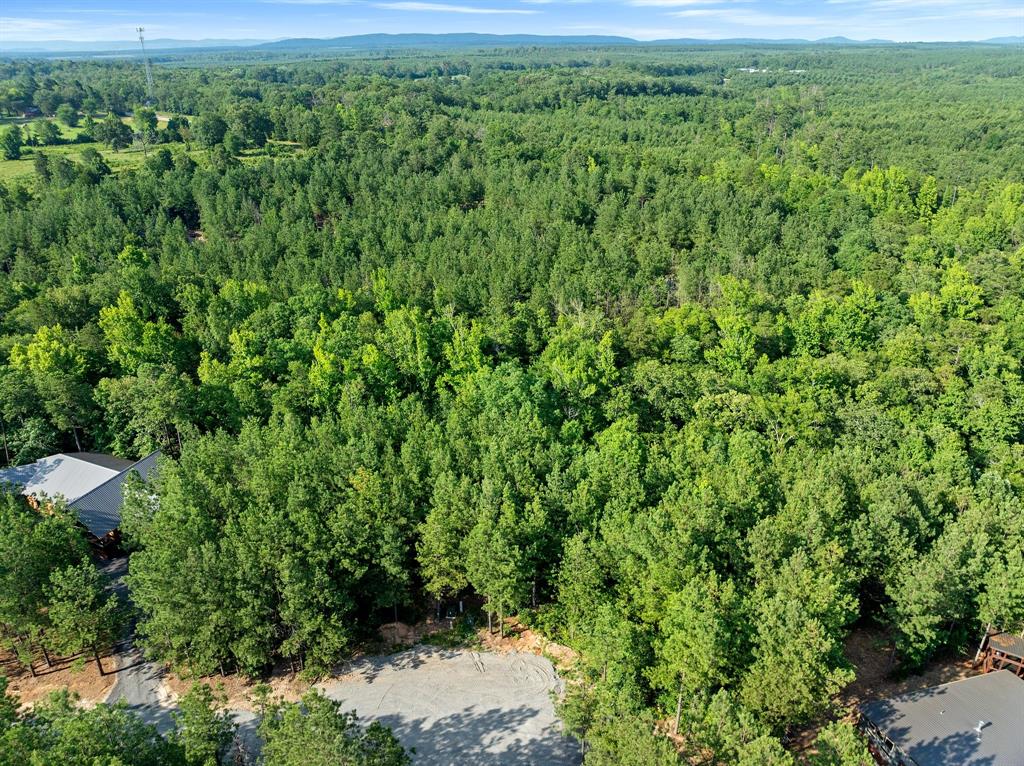 66 Aged Acacia Trail