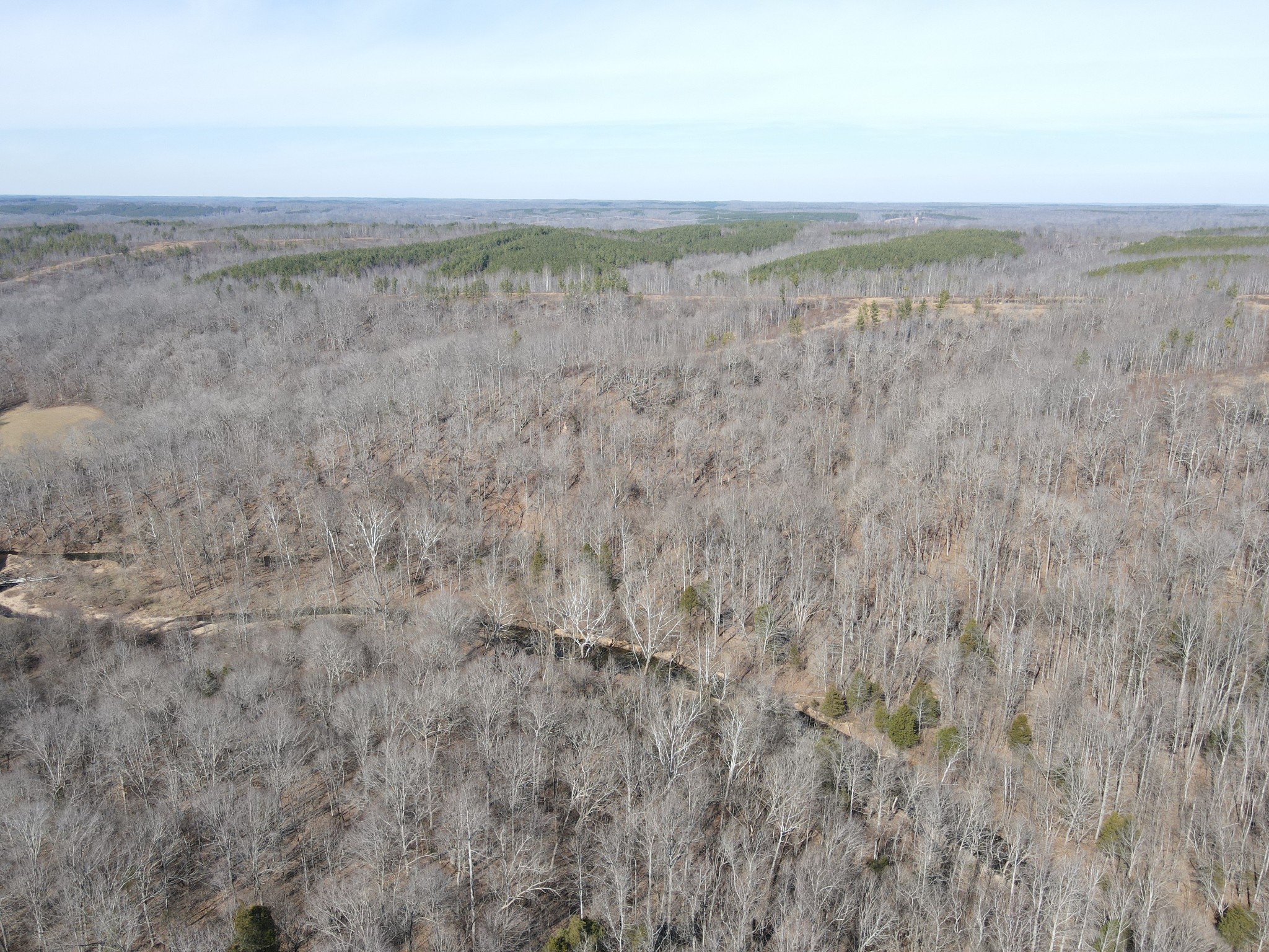 Discover a truly unique piece of Tennessee with this +/- 900-acre tract on East Fork Leatherwood Road and also accessed via North Fork Road (Private Easement) in Southern Stewart County. Long held and meticulously managed by timber companies offering a rare chance to own a slice of untouched rural beauty. Surrounded by rolling hardwood forests, this land provides endless possibilities. Build your dream home, create a private hunting retreat, establish a family compound, or simply invest in a legacy property with no restrictions to limit your vision. The area is renowned for its exceptional deer and turkey hunting, and this tract sits in some of the best habitat in the region. Abundant wildlife thrives here, with trophy whitetail and strutting gobblers frequently spotted in these woods.  The property also holds nearly 2000 feet of frontage on East Fork Leatherwood Creek. Just minutes away you'll find unparalleled access to Tennessee's premier waterways and public lands, such as Kentucky Lake, Lake Barkley, Cross Creeks National Wildlife Refuge, Land Between the Lakes, Stewart State Forest and more. Conveniently located between Dover and Erin, you'll enjoy small-town amenities while remaining immersed in Nature. Whether you're seeking a weekend getaway, full-time rural living, or a sound land investment this property delivers the perfect blend of seclusion and accessibility. Located fifty minutes to Clarksville and an hour and forty minutes to Nashville. This listing is for Tract 13 on the Interactive Map Link. Power and Fiber available on E Fork Leatherwood and Hurricane Creek Road. Property will convey with ingress/egress and utility easement down North Fork from Hurricane Creek Road.