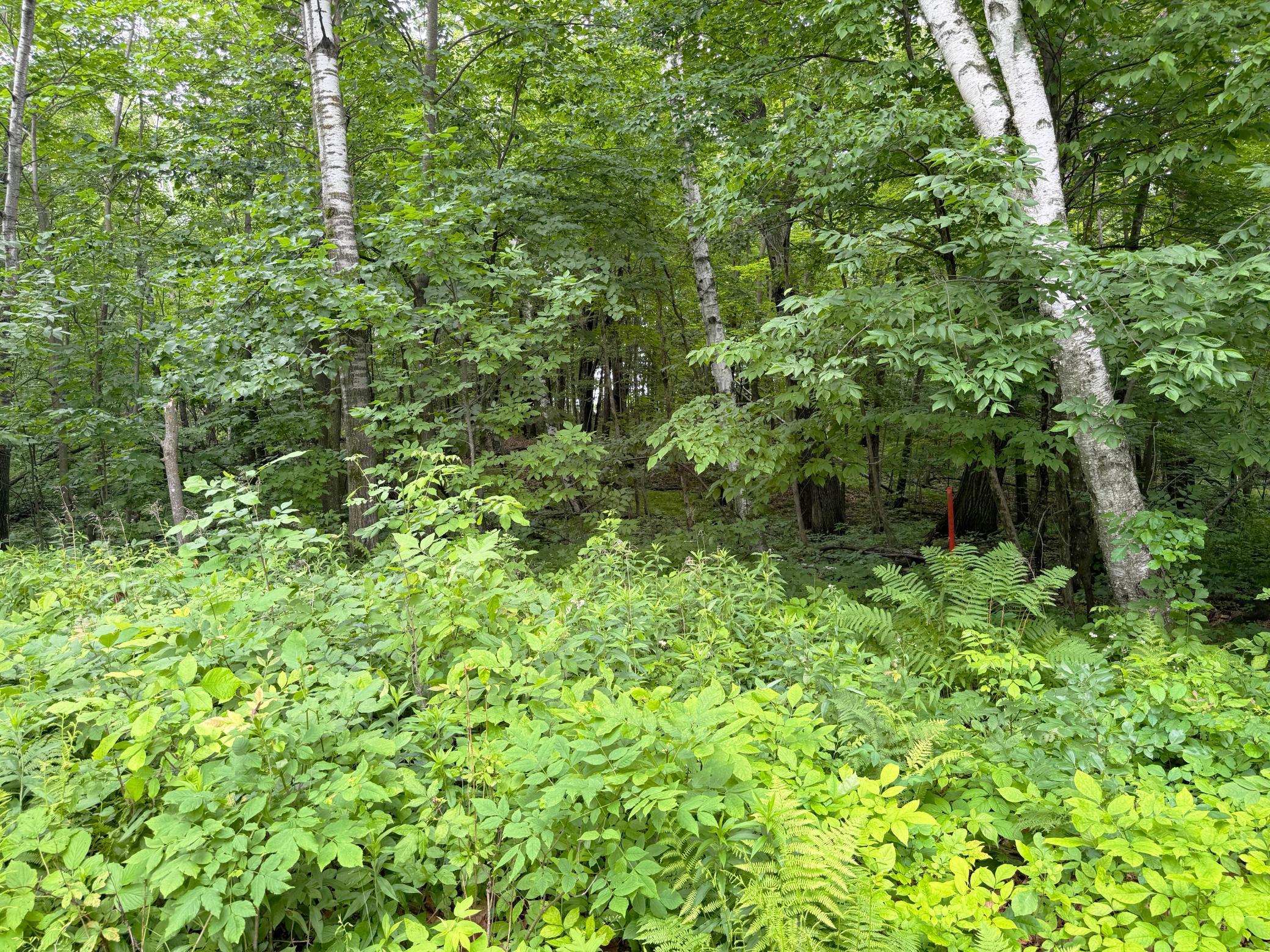 1473 Ann Lake Road