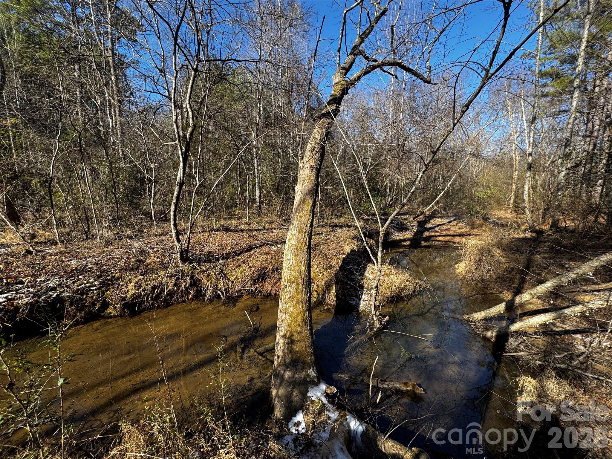 Discover a rare opportunity to own 170 acres of pristine land in Rutherford County, where rolling foothills, natural beauty, and endless potential come together. This expansive tract features two flowing streams, over a mile of established two-track trails, and predominantly level terrain, making it exceptionally usable for a wide range of visions.Multiple ideal homesites are scattered throughout the property, offering privacy, views, and flexibility—perfect for a private estate, family compound, recreational retreat, or future development. Located in the foothills, the land offers a peaceful setting with the feel of seclusion while remaining accessible.Whether you’re dreaming of building, exploring, or simply holding land as a legacy investment, this property delivers—where the deer roam and the possibilities truly feel endless.A remarkable canvas of land, ready for your vision.