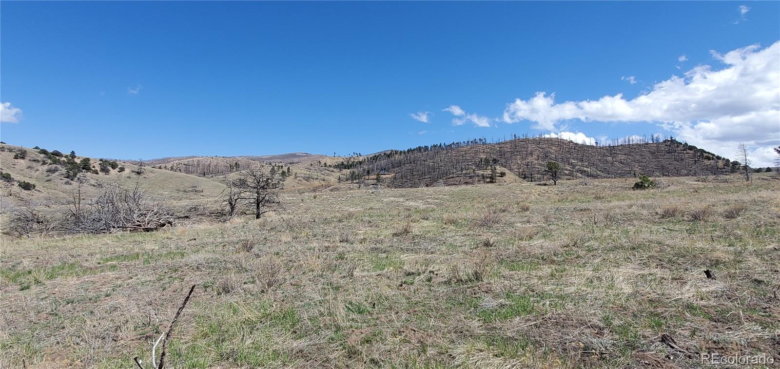 Lot 7699 Marie Road