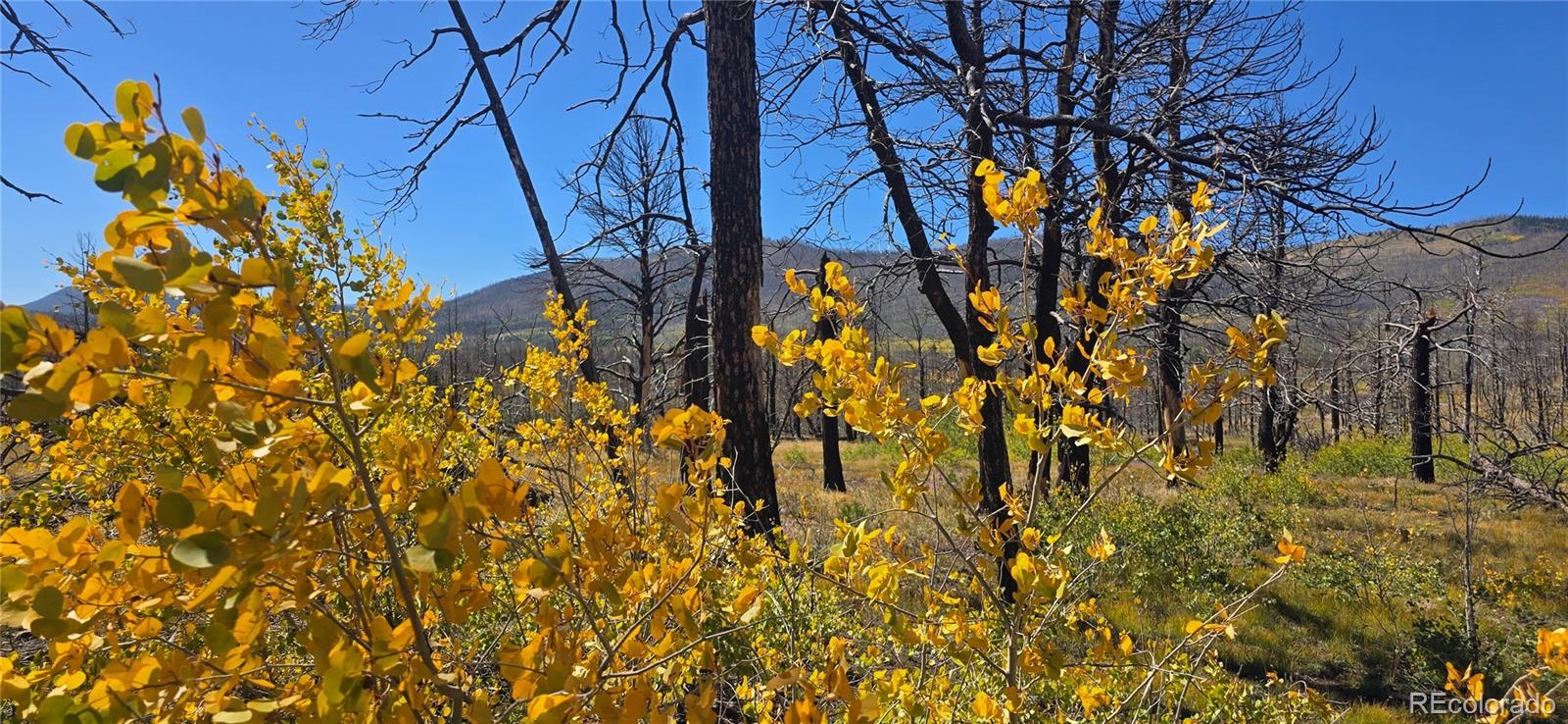 Lot 1684 Emery Loop
