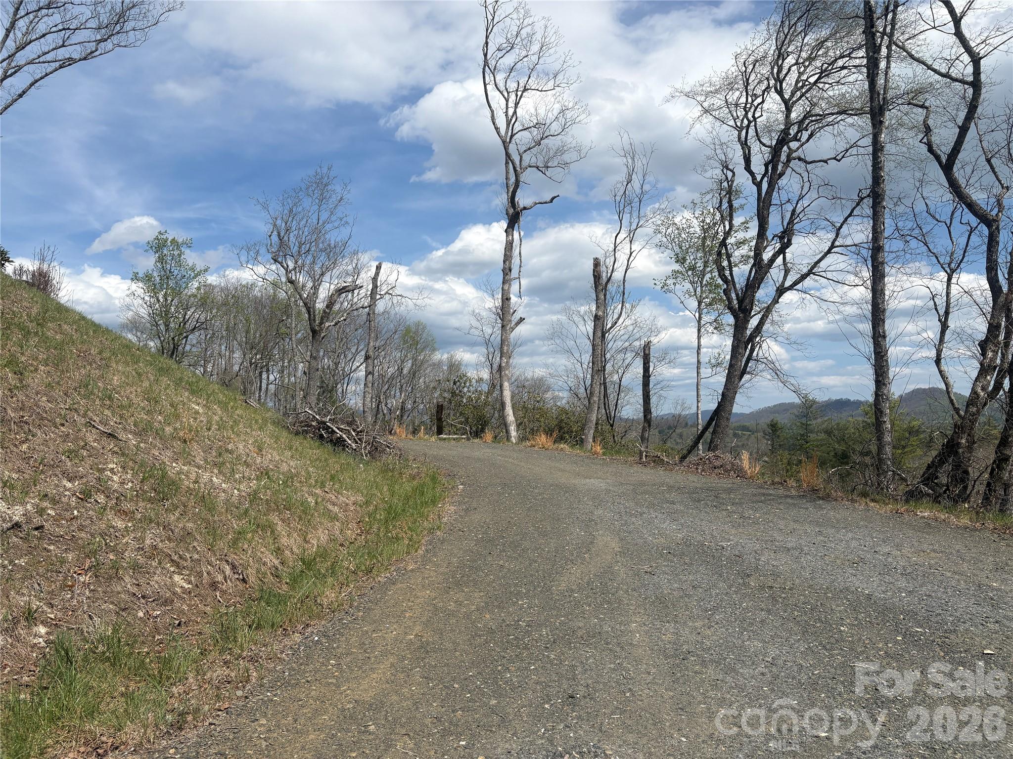 TBD Swiss Pine Lake Drive 117