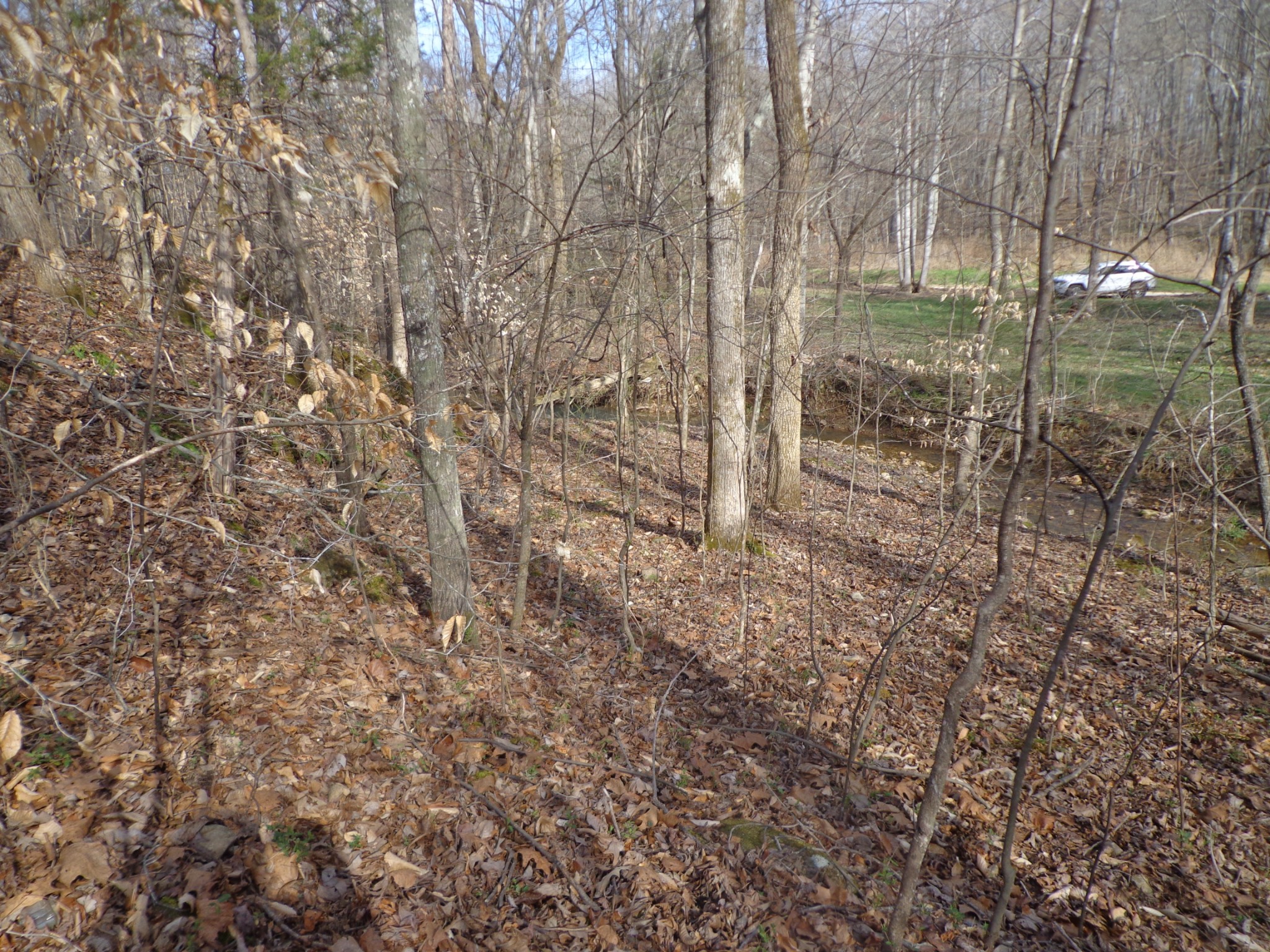 0 Ennis Branch Road
