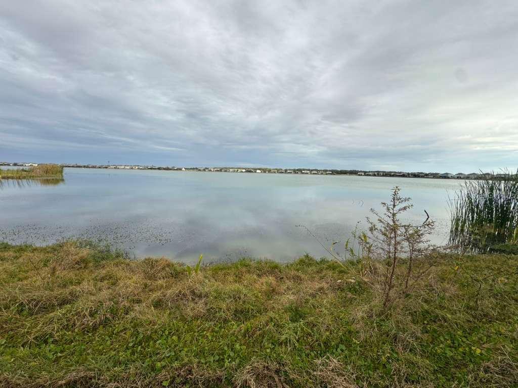 589 Blue Cypress Drive