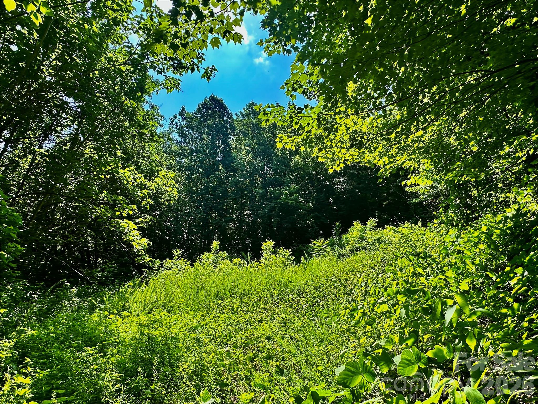Unparalleled development or legacy estate opportunity! 109 +/- pristine acres in the heart of Saluda, NC, directly fronting the highly anticipated Saluda Grade Trail—the historic 31.5-mile rails-to-trails project connecting Inman, SC, through Tryon, up to Zirconia, NC. This remarkable property offers the ultimate canvas for a premier mountain destination, with water supply options capable of supporting a master-planned community of 30 to 45 cabins.The acreage features multiple cleared trail networks already weaving through the land, leading to exceptional, elevated home sites boasting long-range mountain views. A true sportsman’s paradise, the property doubles as exceptional hunting land with mature timber and abundant wildlife. Enjoy the perfect balance of complete mountain privacy with unmatched convenience: located just minutes from the historic charm of downtown Saluda and Tryon, with rapid access to the highway for a quick commute to Hendersonville, Asheville, or Upstate South Carolina. Whether you are looking to build a private family compound, a luxury eco-resort, or a high-yield cabin rental community capitalizing on the massive recreational corridor of the new iconic Rails to Trails, this is a once-in-a-generation acquisition. Learn more about the trail project at saludagradetrail.org. Possible owner financing options. NEAR PEARSON'S FALLS, MELROSE FALLS AND CONSERVING CAROLINA PROPERTY.