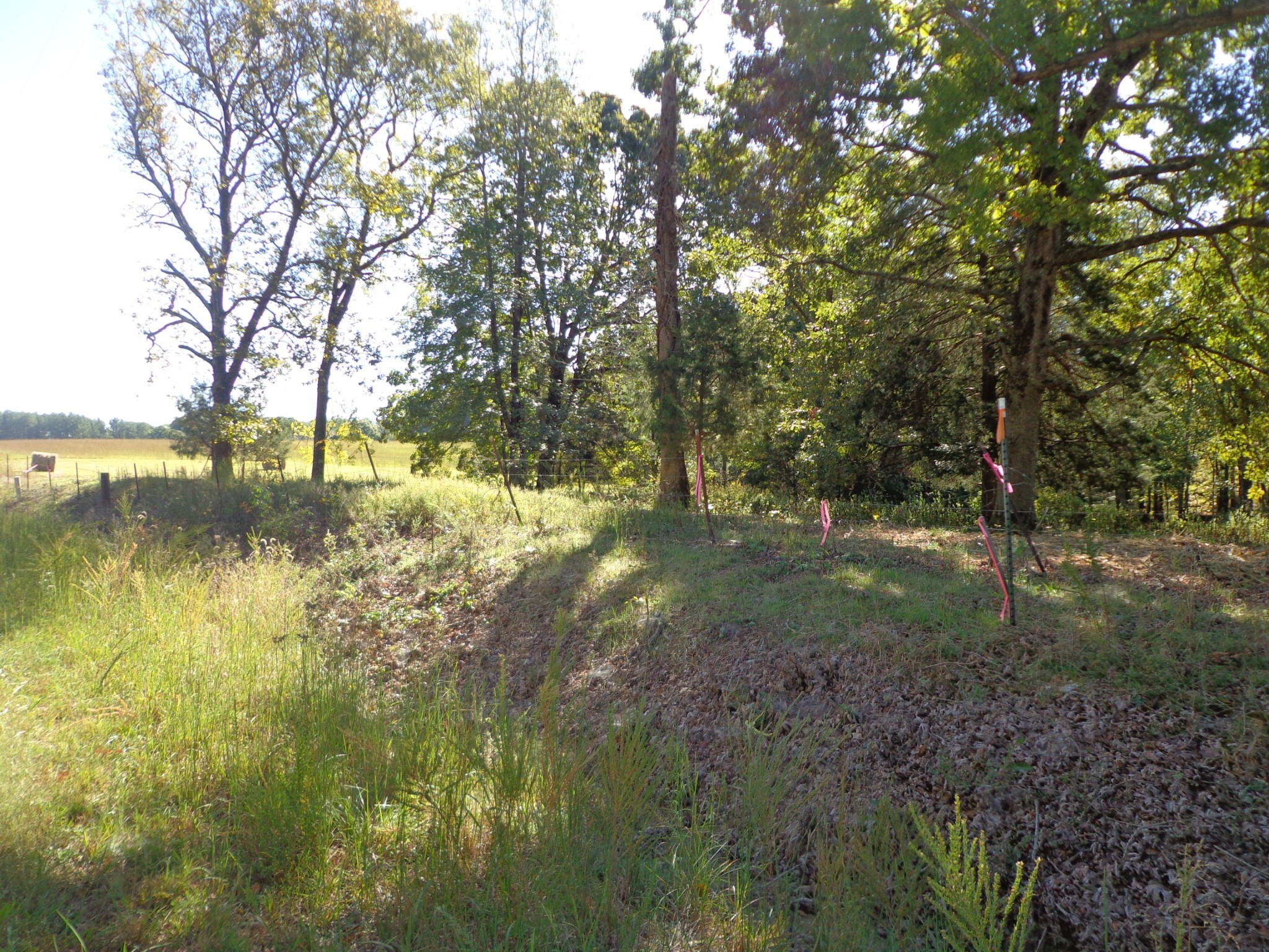 0 Halls Creek Road