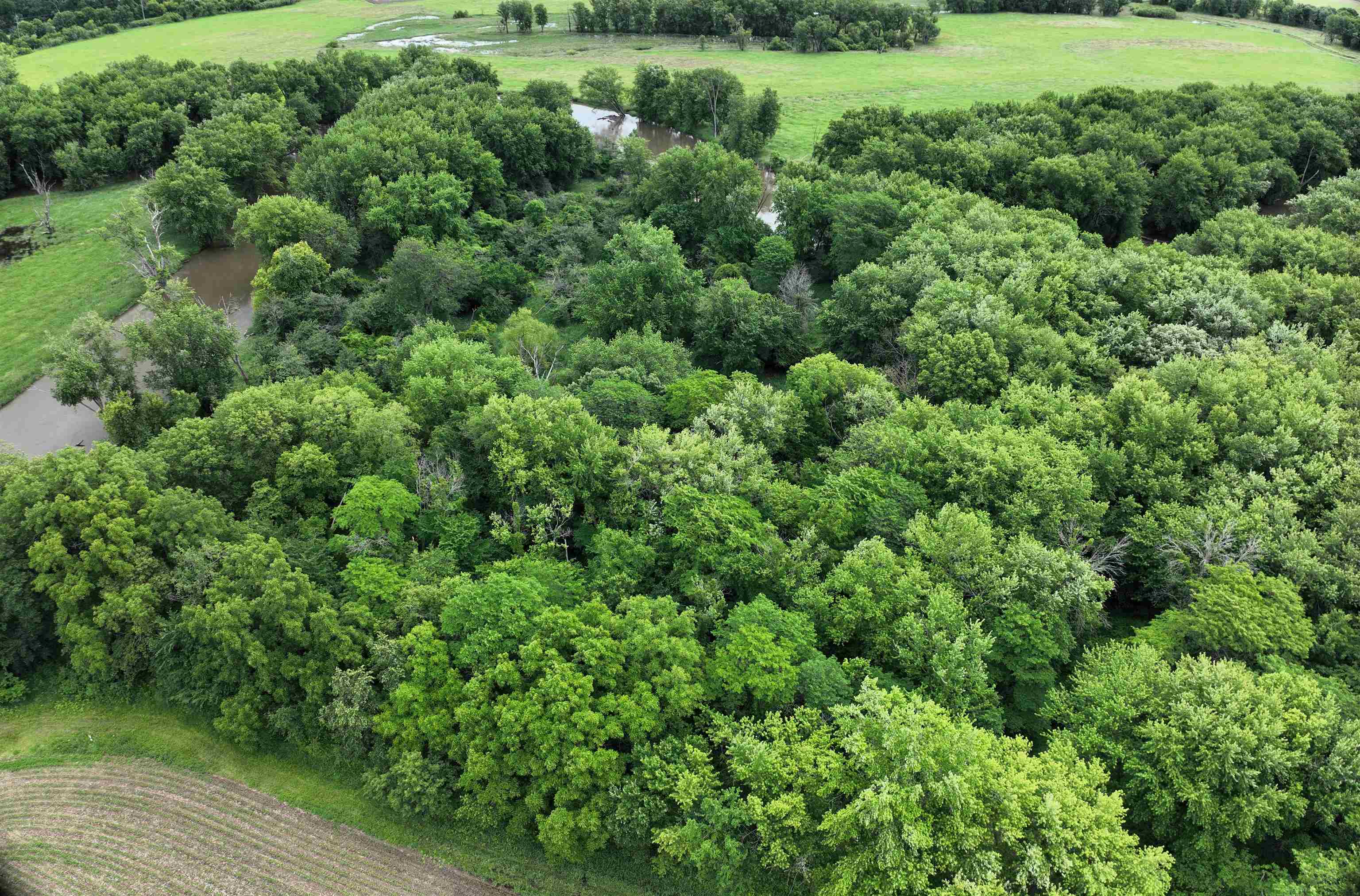 89.14 Acres Smokey Hollow