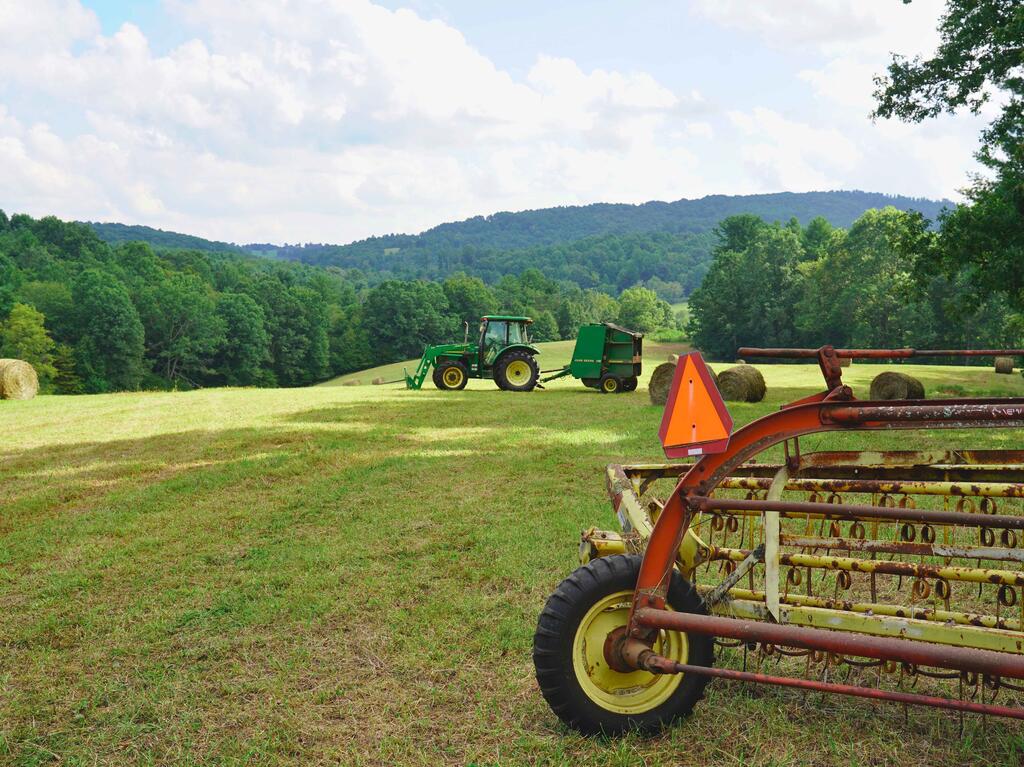 This property combines 2 contiguous tracts totaling 66.5+/- acres along a peaceful country road in western Floyd County, offering a diverse mix of 13+/- acres of gently rolling pasture, extensive mature woodland, established trails, multiple gated access points, & 3,700'+ of flowing creek frontage. The open pasture is concentrated toward the western portion of the property, with gentle topography, natural treeline boundaries, & several potential homesites, including elevated ground with southern-facing views across the surrounding countryside. Existing gates provide flexible access throughout the pasturelands, while the open acreage offers potential for gardening, livestock, horses, hay production, orchards, food plots, small-scale agriculture, & homesteading. The wooded acreage features towering pine, poplar, oak, cherry, & other various hardwoods, creating a mature, park-like forest setting with established trails for ATVs, UTVs, Jeeps, mountain bikes, horseback riding, hiking, & exploring. Deer trails & wildlife sign are prevalent throughout the woods, while the extensive creek frontage adds to the habitat space & recreational appeal. Fern-covered forest floors, rhododendron, natural creek crossings, & mature trees provide opportunities for wildlife management, foraging, or simply enjoying some quiet time beside the gentle flow of the water. With its mix of open & wooded terrain, the property could transform into a private mountain residence, hunting camp, weekend getaway, equestrian or outdoor recreation property, or private Blue Ridge basecamp. Approx 20 min to downtown Floyd & Hillsville, with easy access to I-77 & surrounding Blue Ridge communities. Bring your vision & transform this 66.5+/- acre offering with substantial acreage of pasture, woods, creek frontage, established trails, wildlife habitat, & privacy into your own private oasis. Also being offered in 2 separate tracts of 44 and 22+/- acres. Shown by appt.