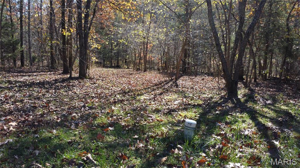 10256 Christina Trail